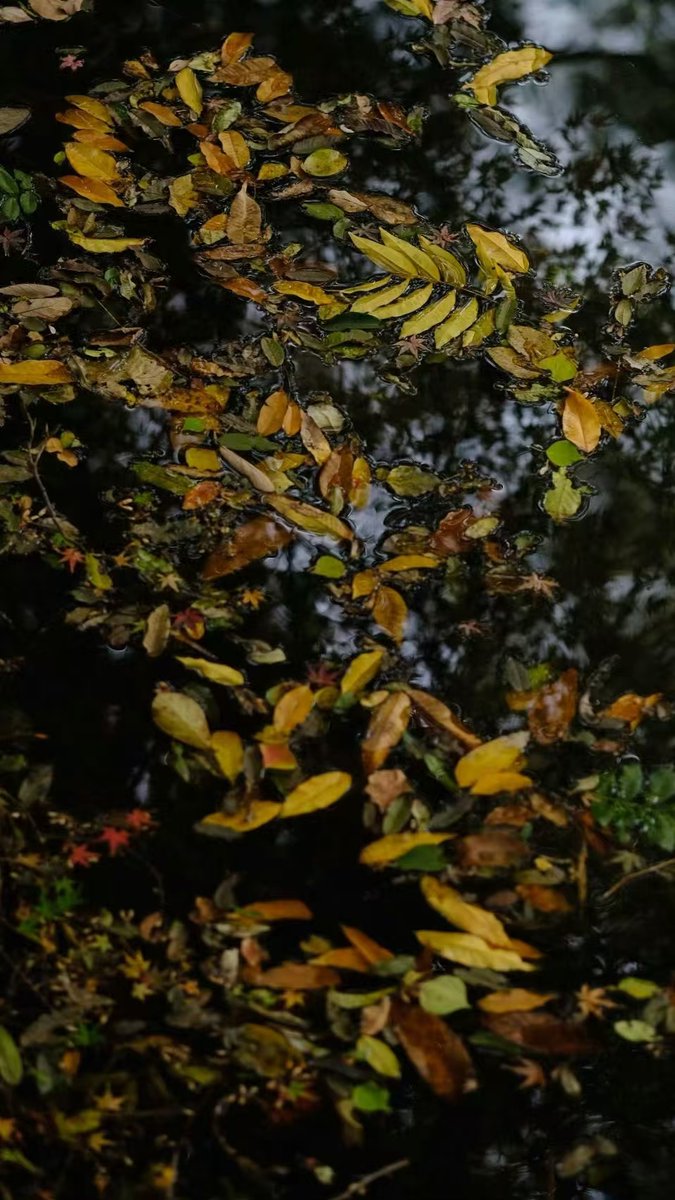 Bryan Burgess tweet media