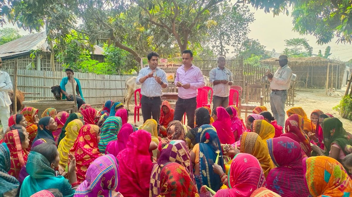 Agribih's tweet photo. धरहरा चकला भुनाई पंचायत में बेबी कॉर्न एवं स्वीट कॉर्न की उन्नत खेती विषय पर एक दिवसीय प्रशिक्षण-सह-फील्ड डे का सफल आयोजन किया गया।
किसानों को आधुनिक तकनीकों की जानकारी देकर उनकी आय बढ़ाने पर जोर दिया गया। 🌽✨
#BabyCorn #SweetCorn #FarmTraining #KrishiVikas #BiharAgriculture https://t.co/LGDy1skWul
