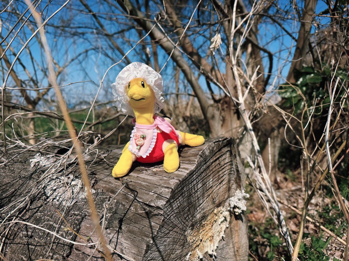 駆け抜けてツボツボ tweet media