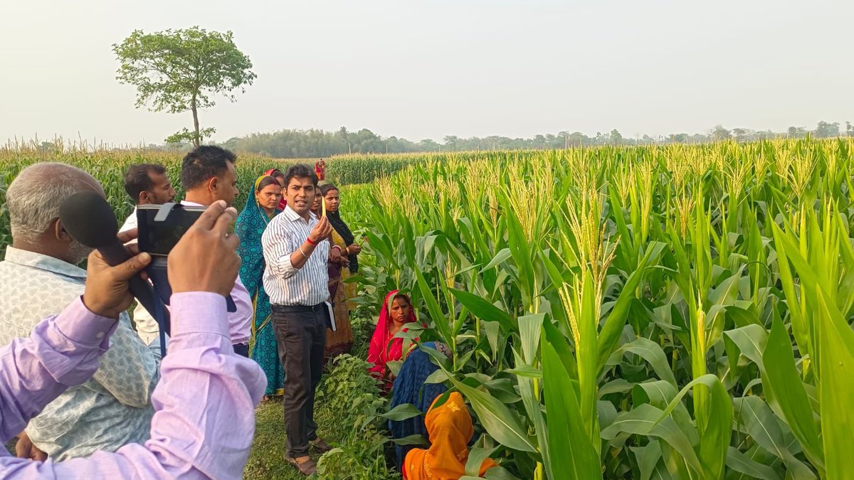 Agribih's tweet photo. धरहरा चकला भुनाई पंचायत में बेबी कॉर्न एवं स्वीट कॉर्न की उन्नत खेती विषय पर एक दिवसीय प्रशिक्षण-सह-फील्ड डे का सफल आयोजन किया गया।
किसानों को आधुनिक तकनीकों की जानकारी देकर उनकी आय बढ़ाने पर जोर दिया गया। 🌽✨
#BabyCorn #SweetCorn #FarmTraining #KrishiVikas #BiharAgriculture https://t.co/LGDy1skWul