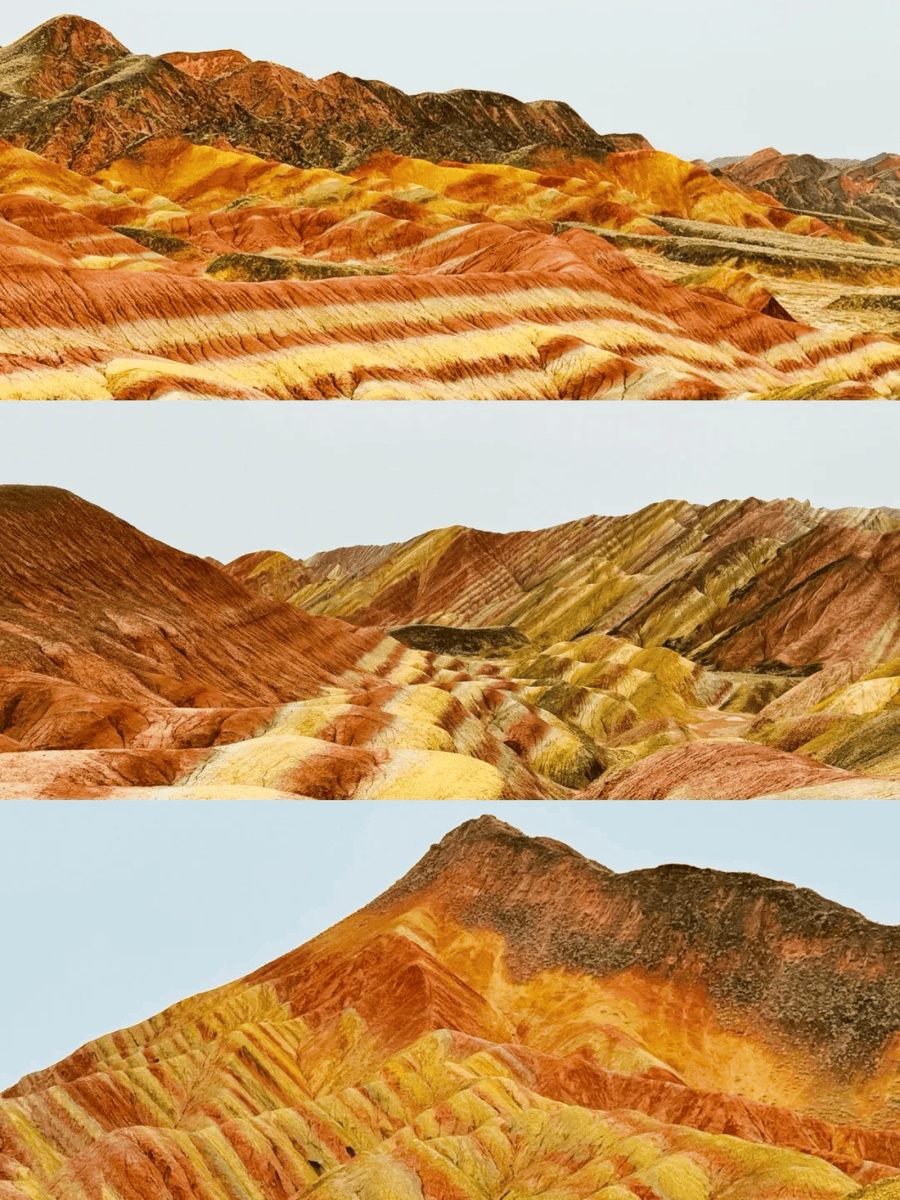 Shirley Zabriskie tweet media