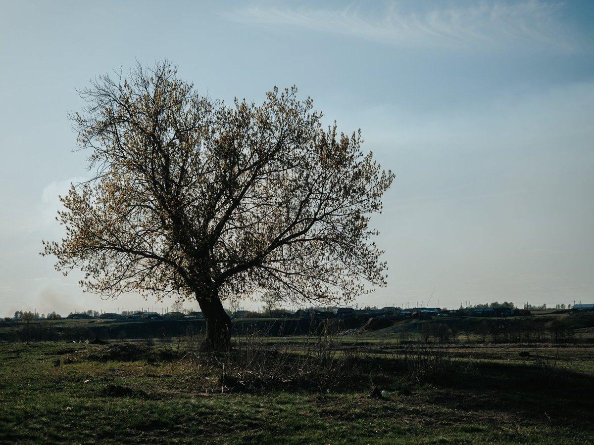 Johnny Rebel tweet media