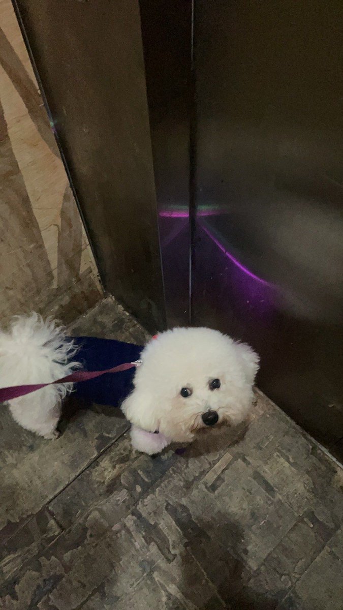 Bob MasterB tweet media