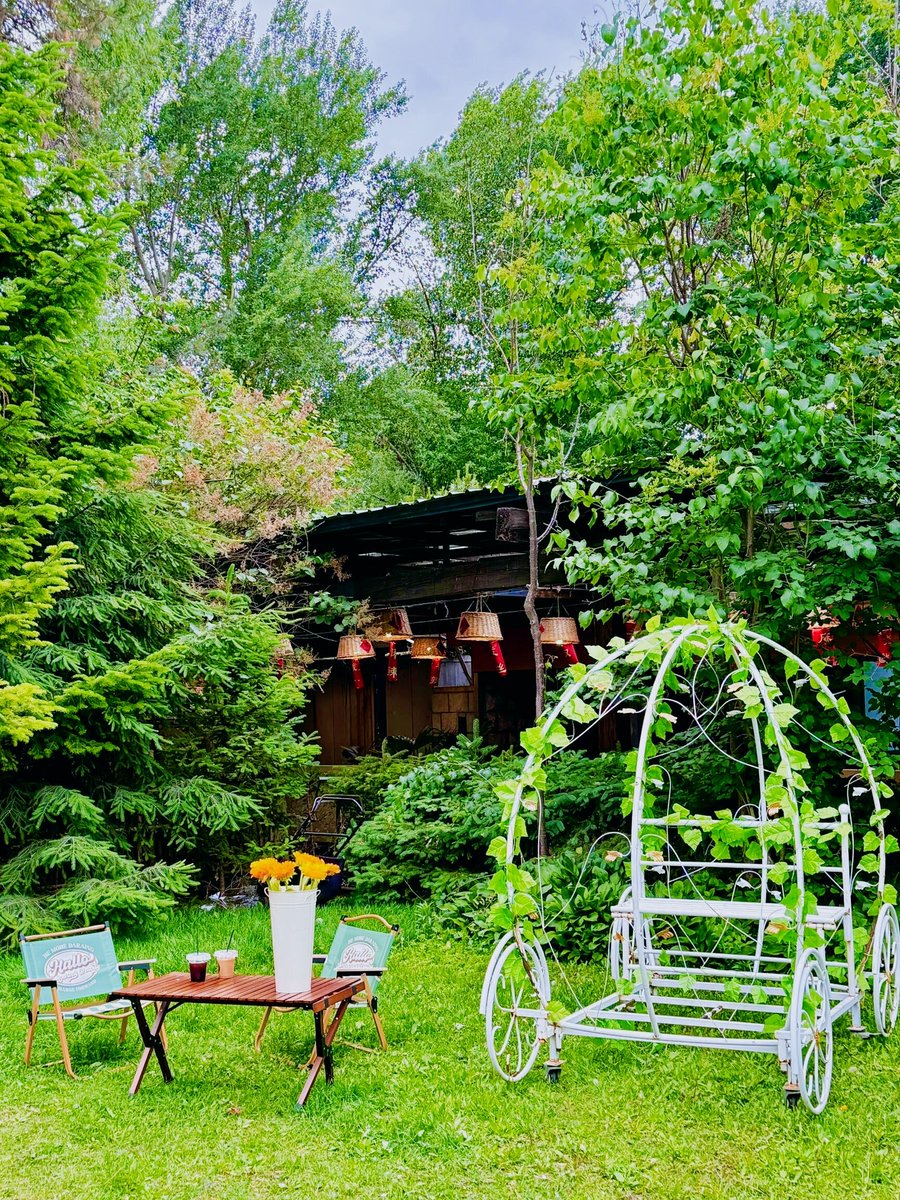 Jim McLamore tweet media