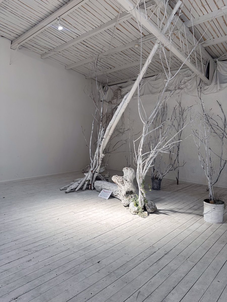 スタジオルール tweet media