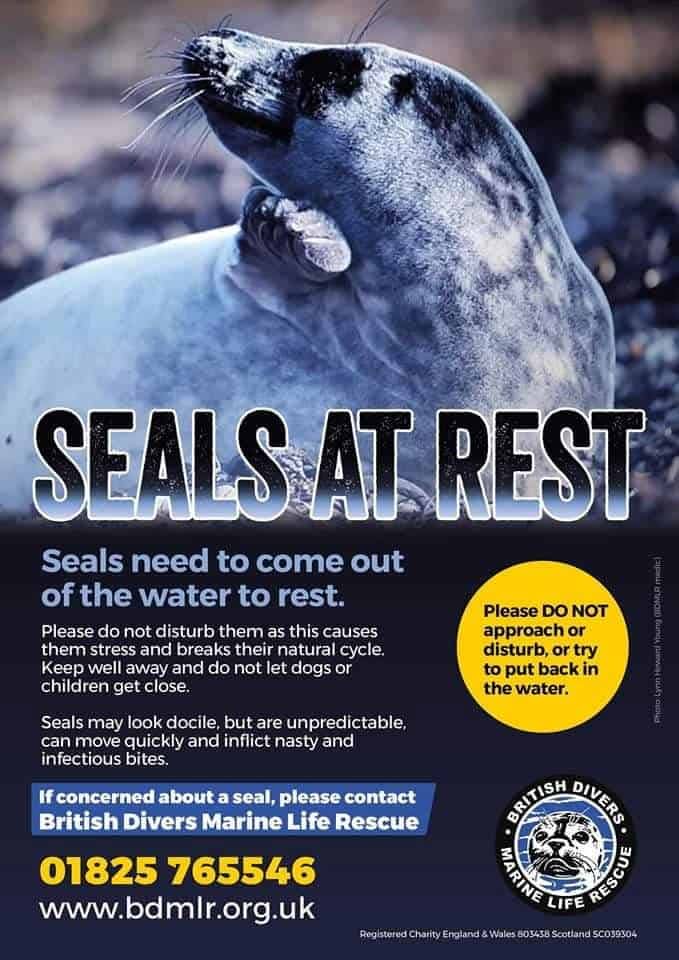 NCI St Ives tweet media