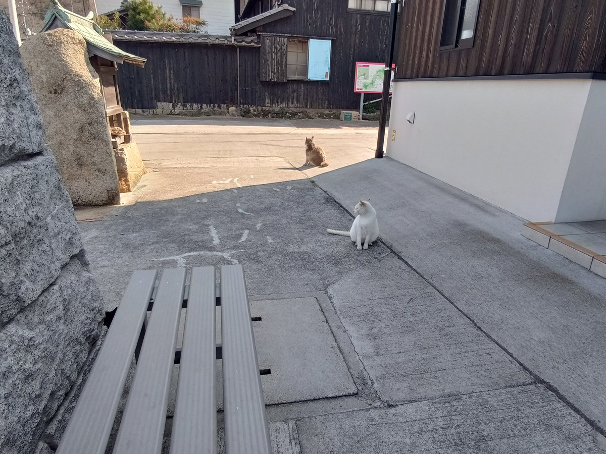 にごー tweet media