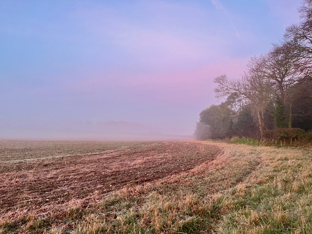 Barendina Smedley tweet media