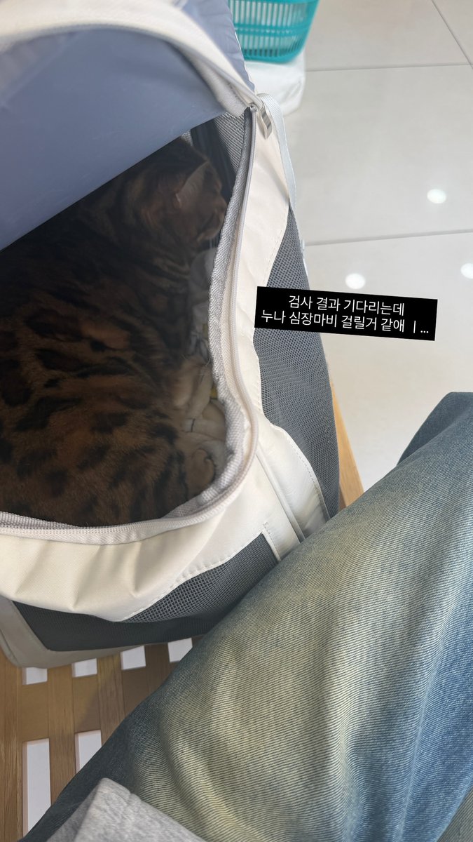 auddk99's tweet photo. 하디야 아푸지말자..🙏🏻 https://t.co/p6tf4JXP63