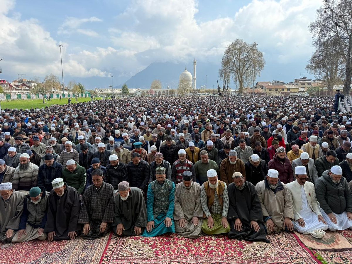 شبلی tweet media