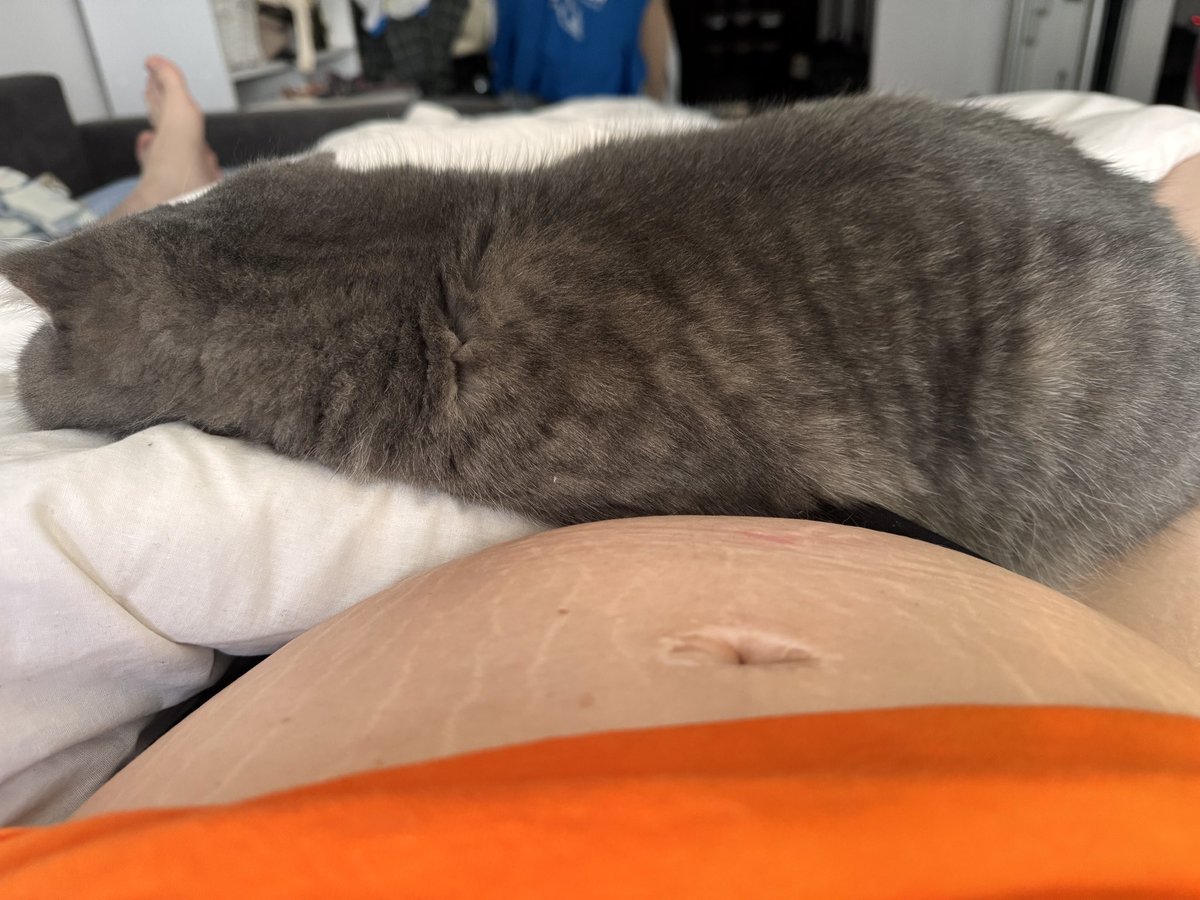 галицька котиця🐱 tweet media