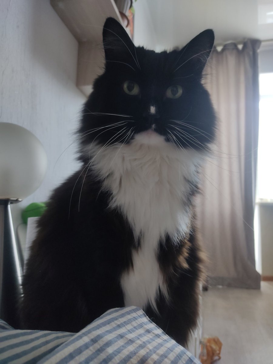 madaoner tweet media