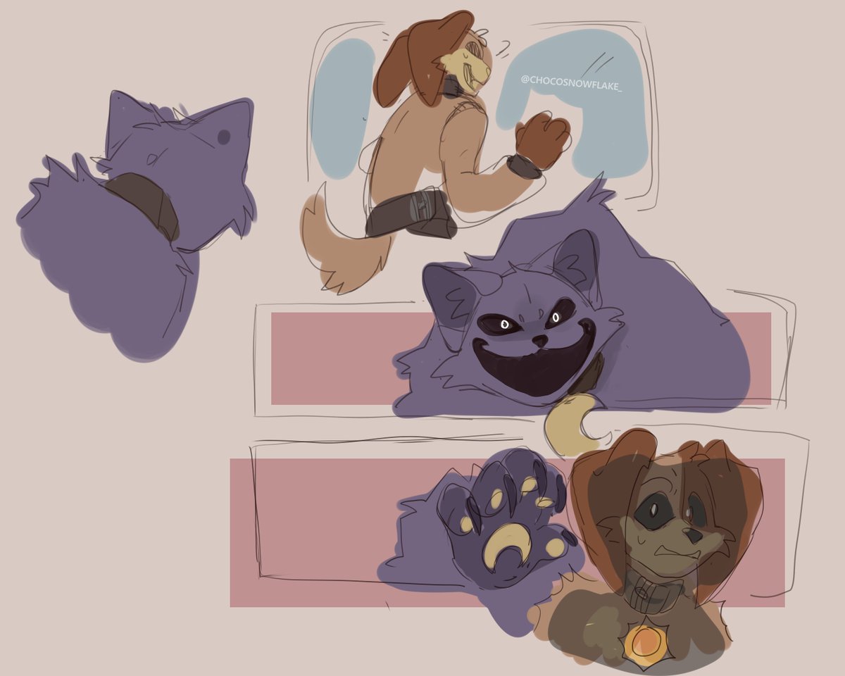 「❥ Cocoa ʕ•ᴥ•ʔ 」 tweet media