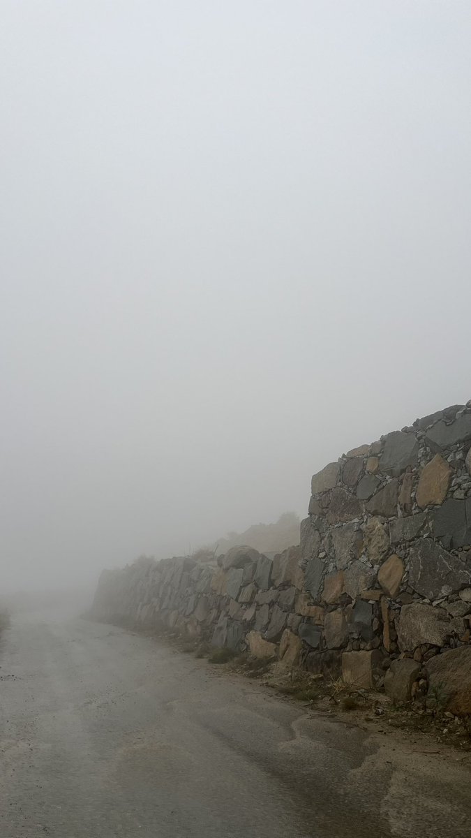 إيلان tweet media