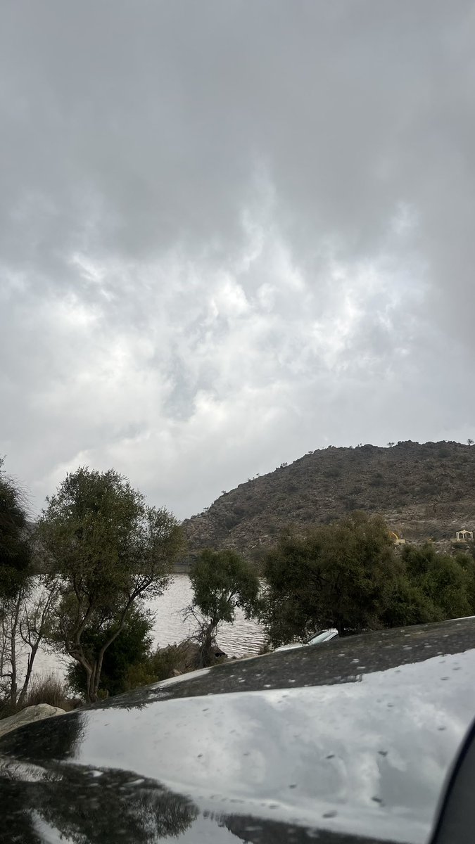 إيلان tweet media