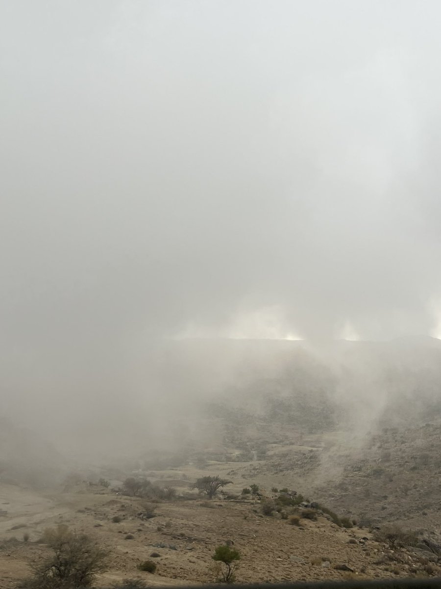 إيلان tweet media