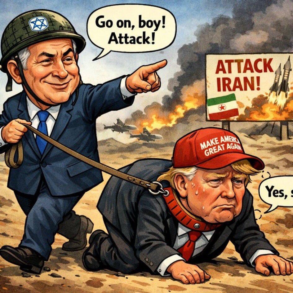 The Shadows 🇵🇸🇨🇦 tweet media