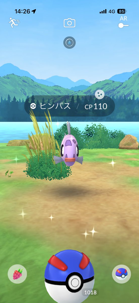 ✖️ちるみ✖️@ポケモンGO tweet media