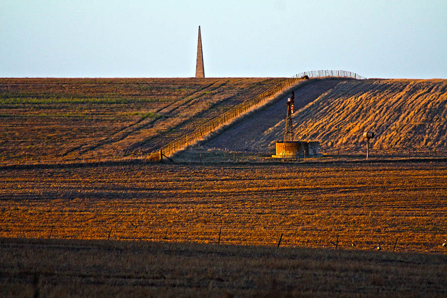 Mike the Warthog tweet media