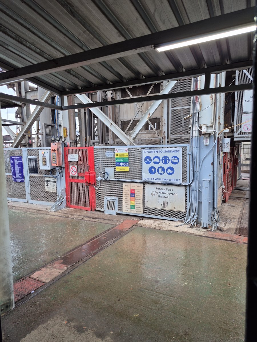 🐽Smirre die Jakkals🦊 tweet media