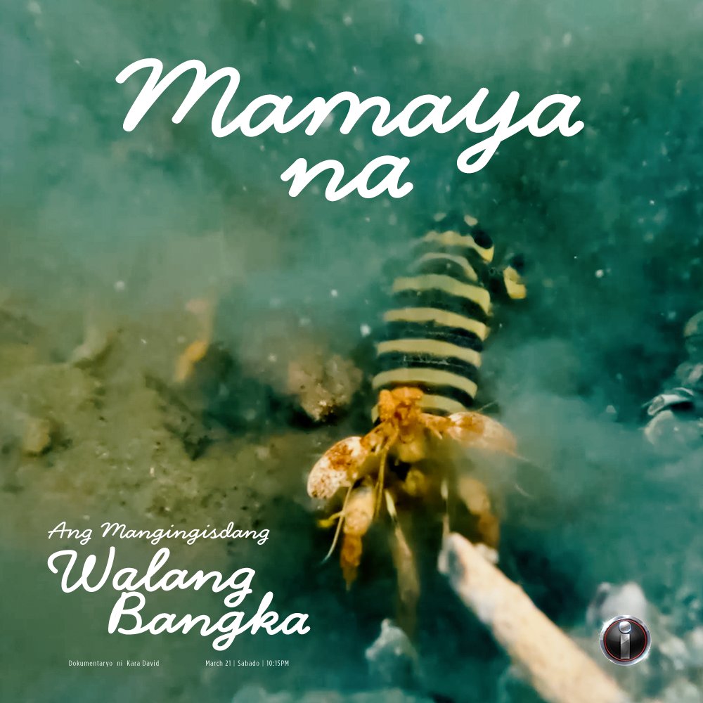 I-Witness tweet media