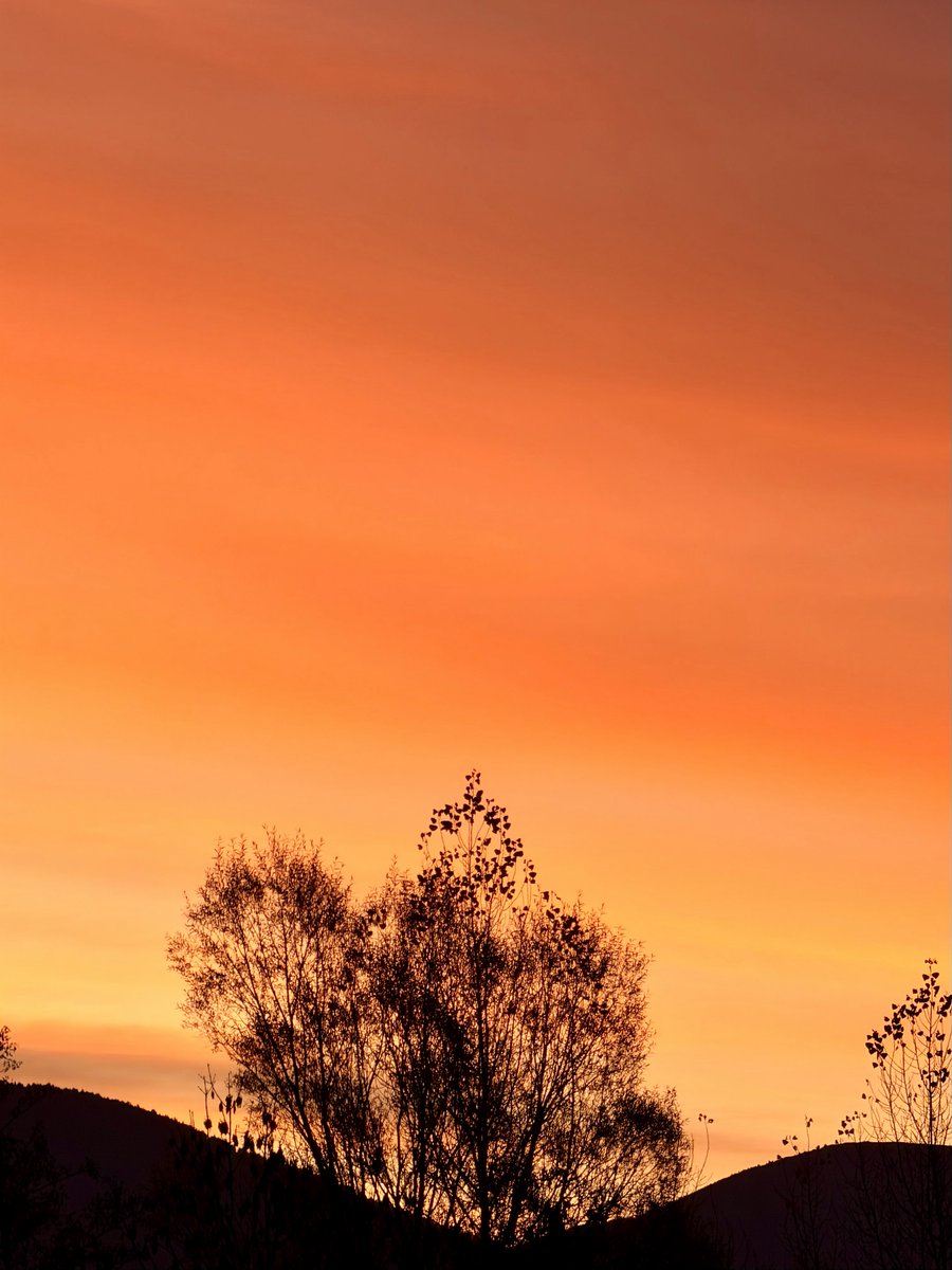 vent blau 〰️ tweet media