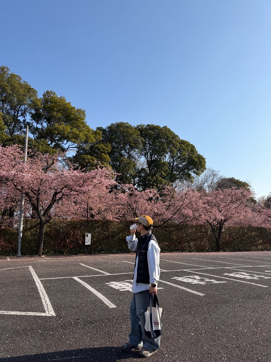 monmojoe's tweet photo. 年年岁岁花相似。 https://t.co/WL2VW1MWGg