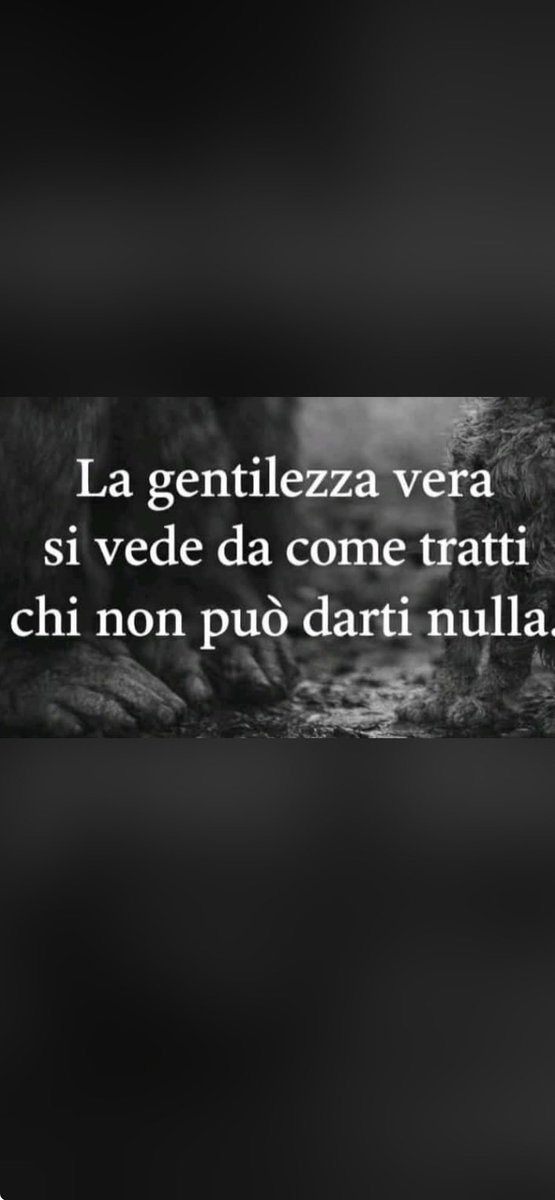 maria cristina lazzi tweet media