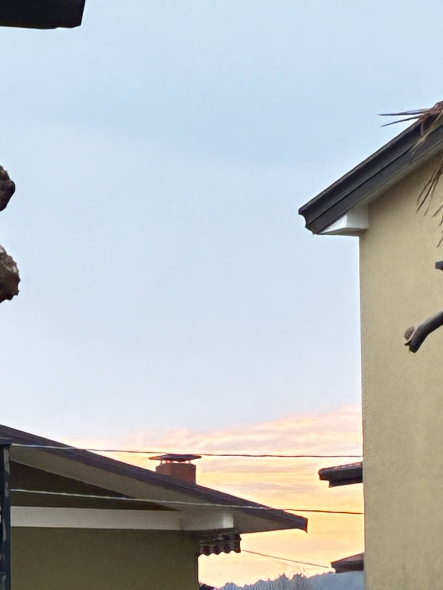 maria cristina lazzi tweet media