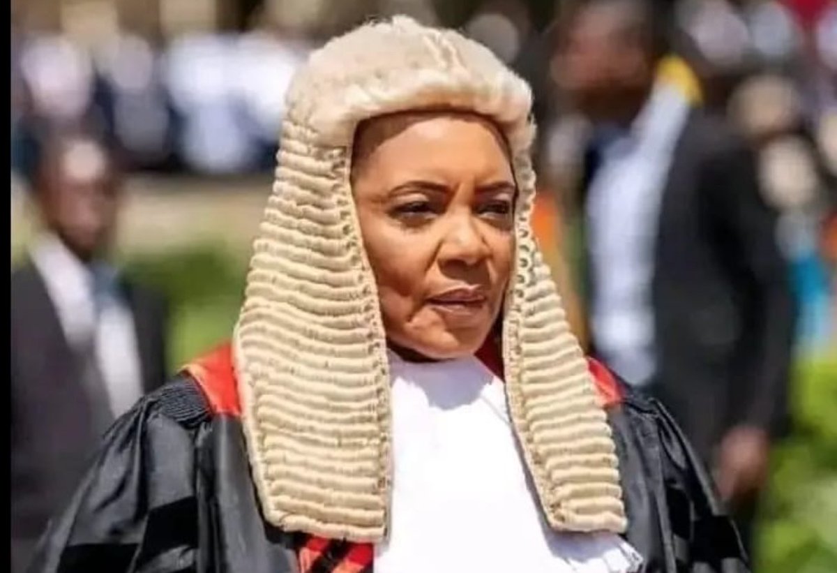 Diggers.News tweet media