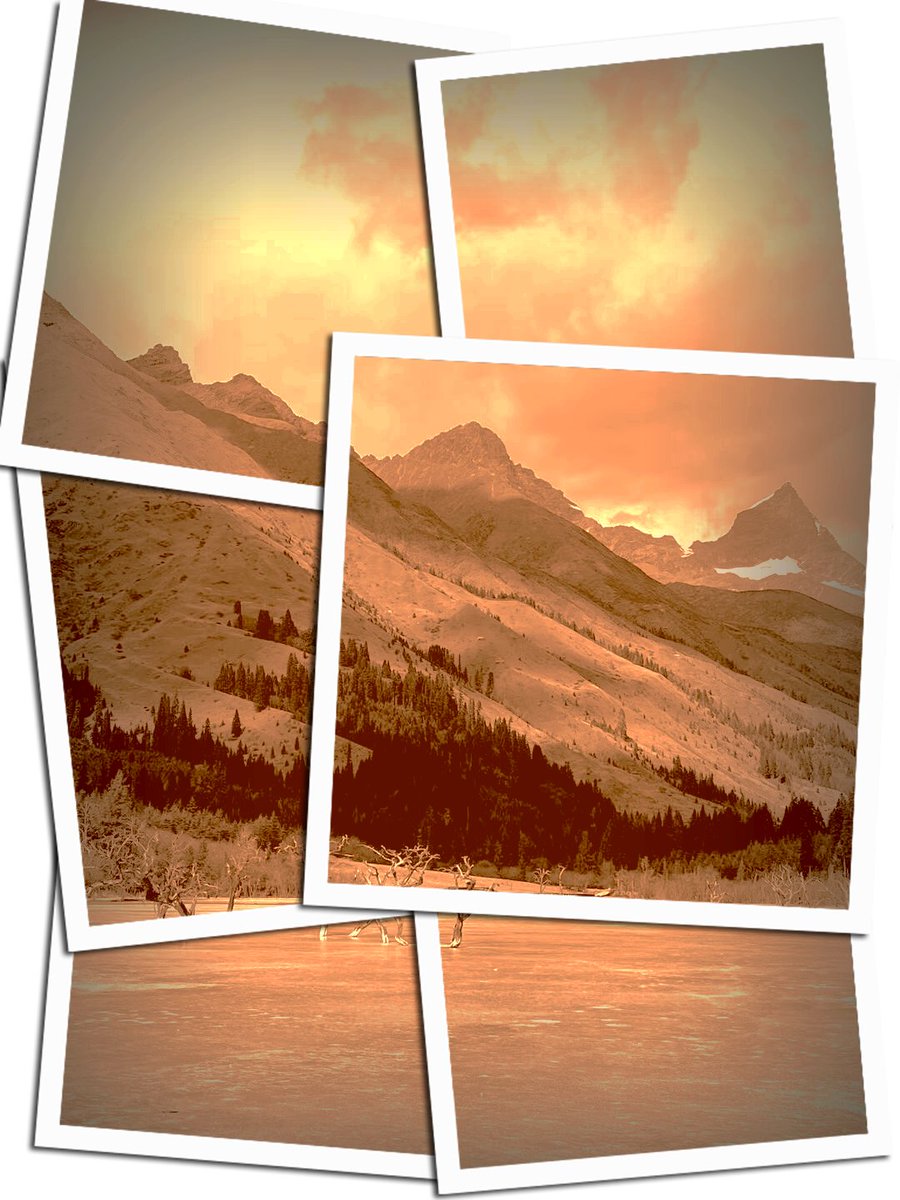 Sebastião Guimarães Martins tweet media