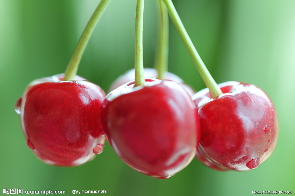 lesley allinson tweet media