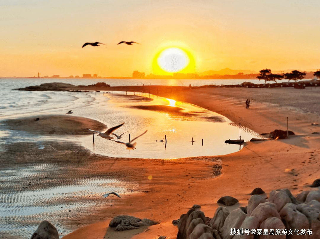 Willy William tweet media