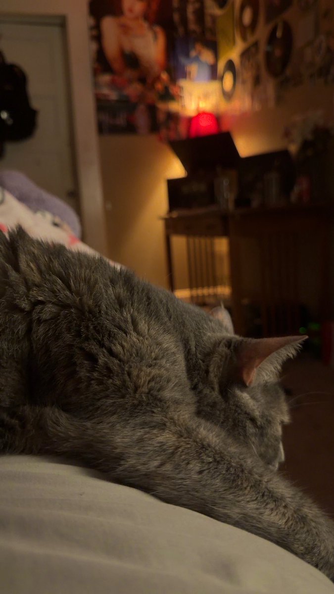 piper ᢉ𐭩 tweet media