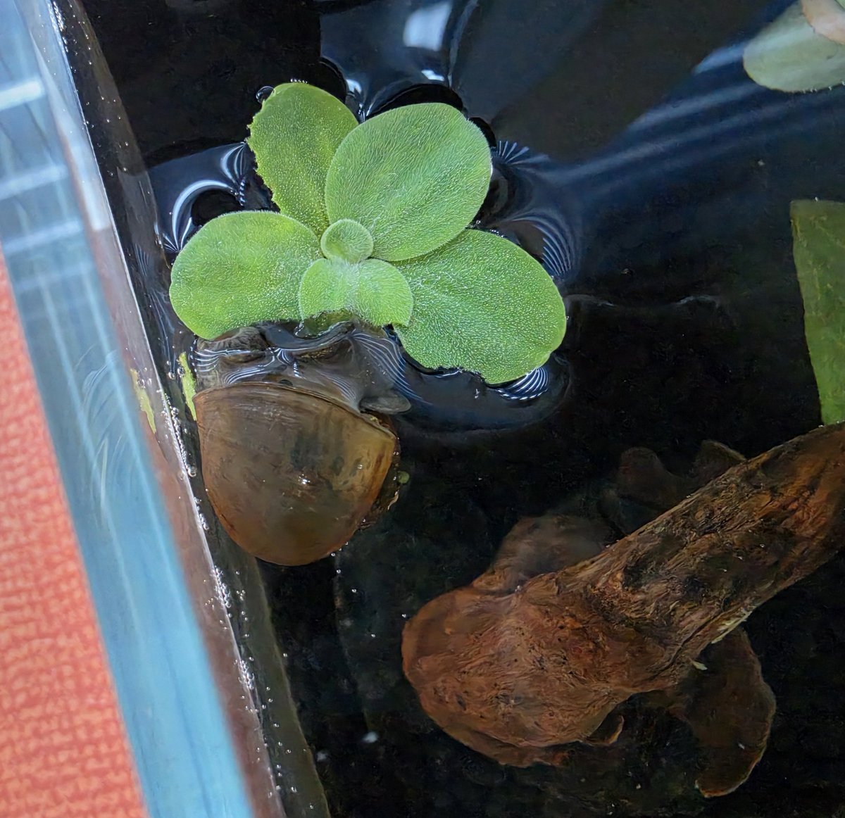 아기들사진올리는곳🐛 tweet media