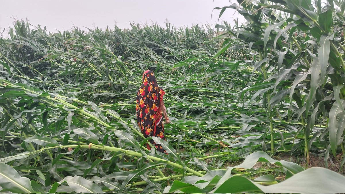 Koshi Xpress tweet media