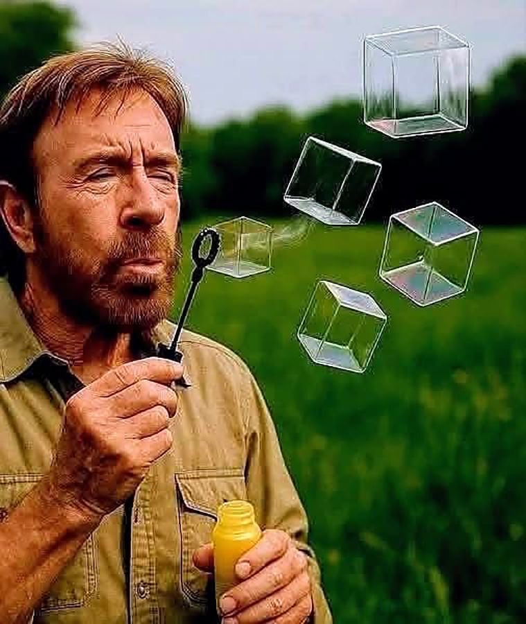 𝕯𝖆𝖓𝖎 🫧 tweet media