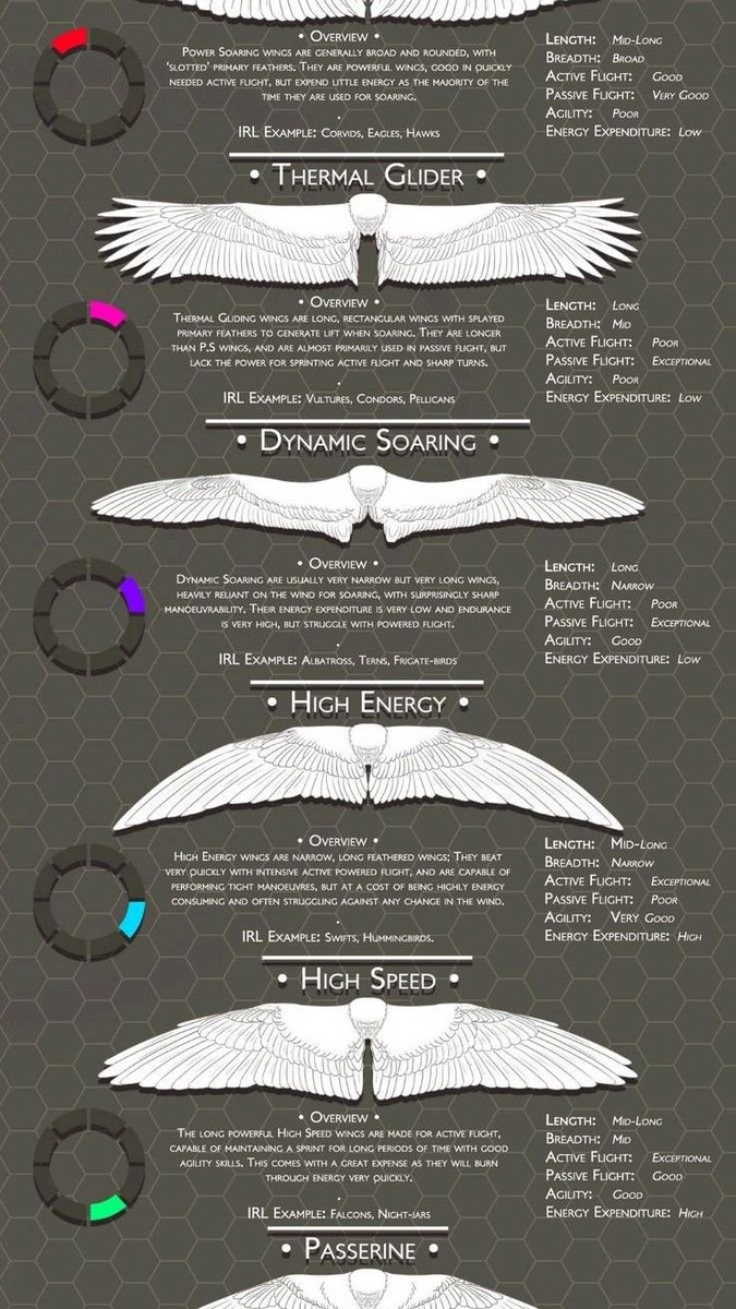 Next Step © tweet media