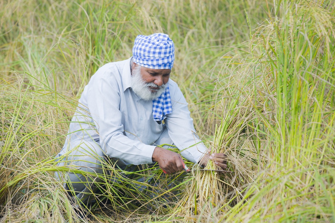 Down To Earth tweet media