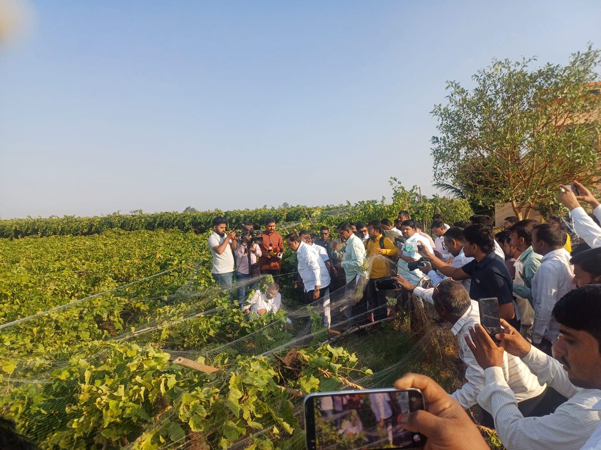 DISTRICT INFORMATION OFFICE, SOLAPUR tweet media