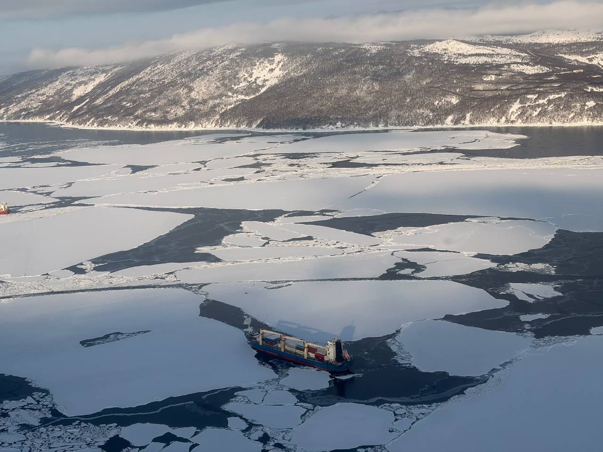 Титановый Леший tweet media