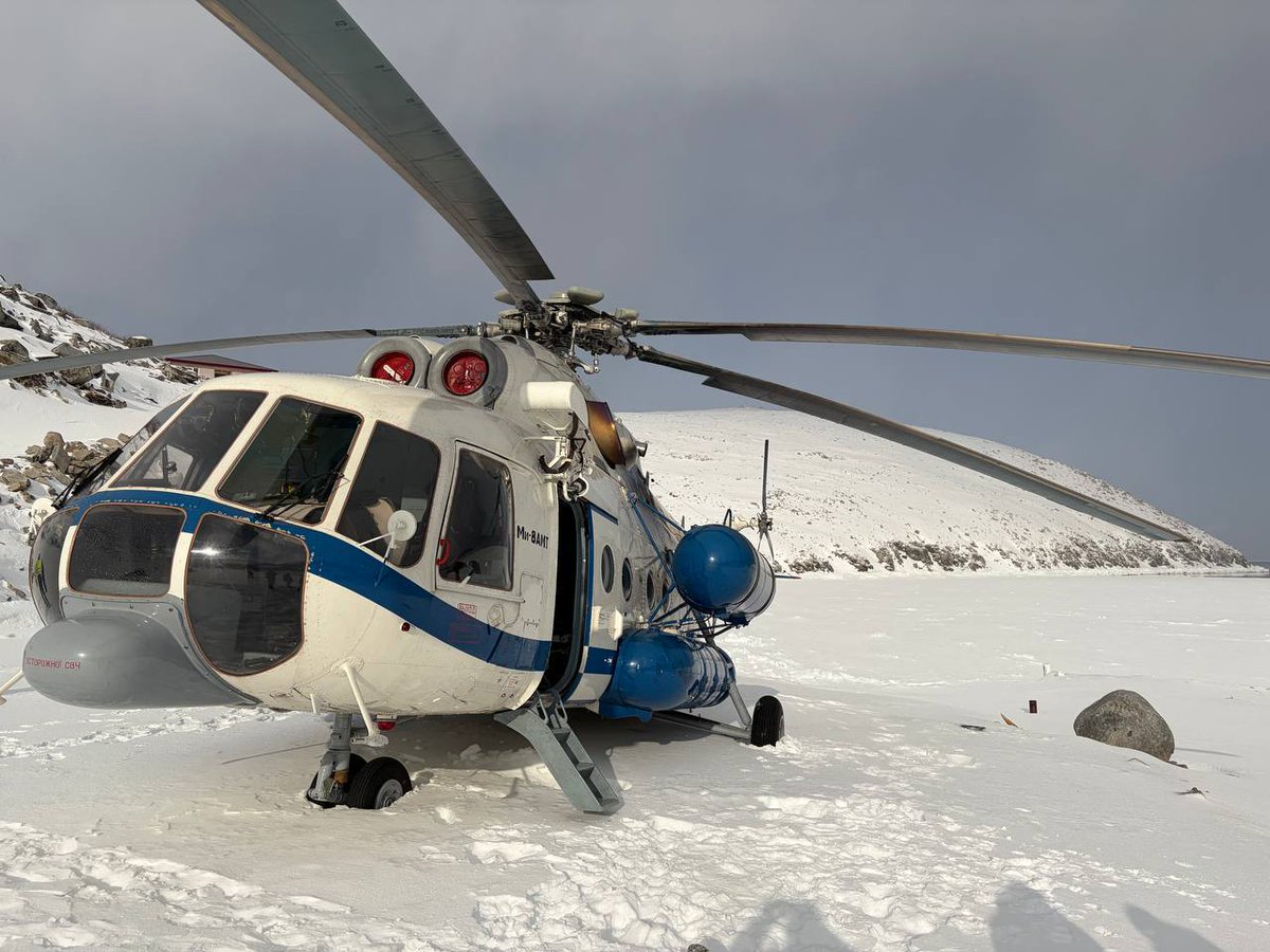 Титановый Леший tweet media