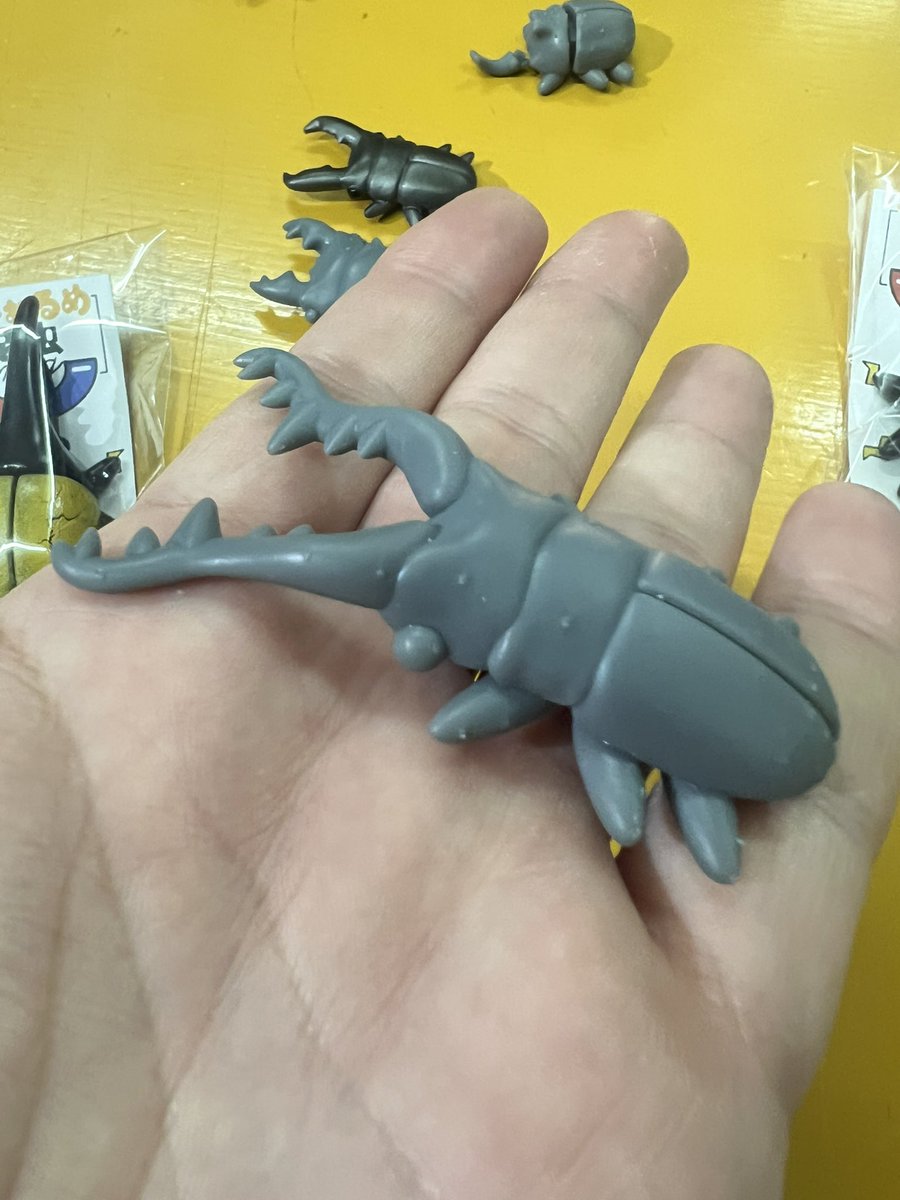 ブラッキー　クワカブ専門店 tweet media