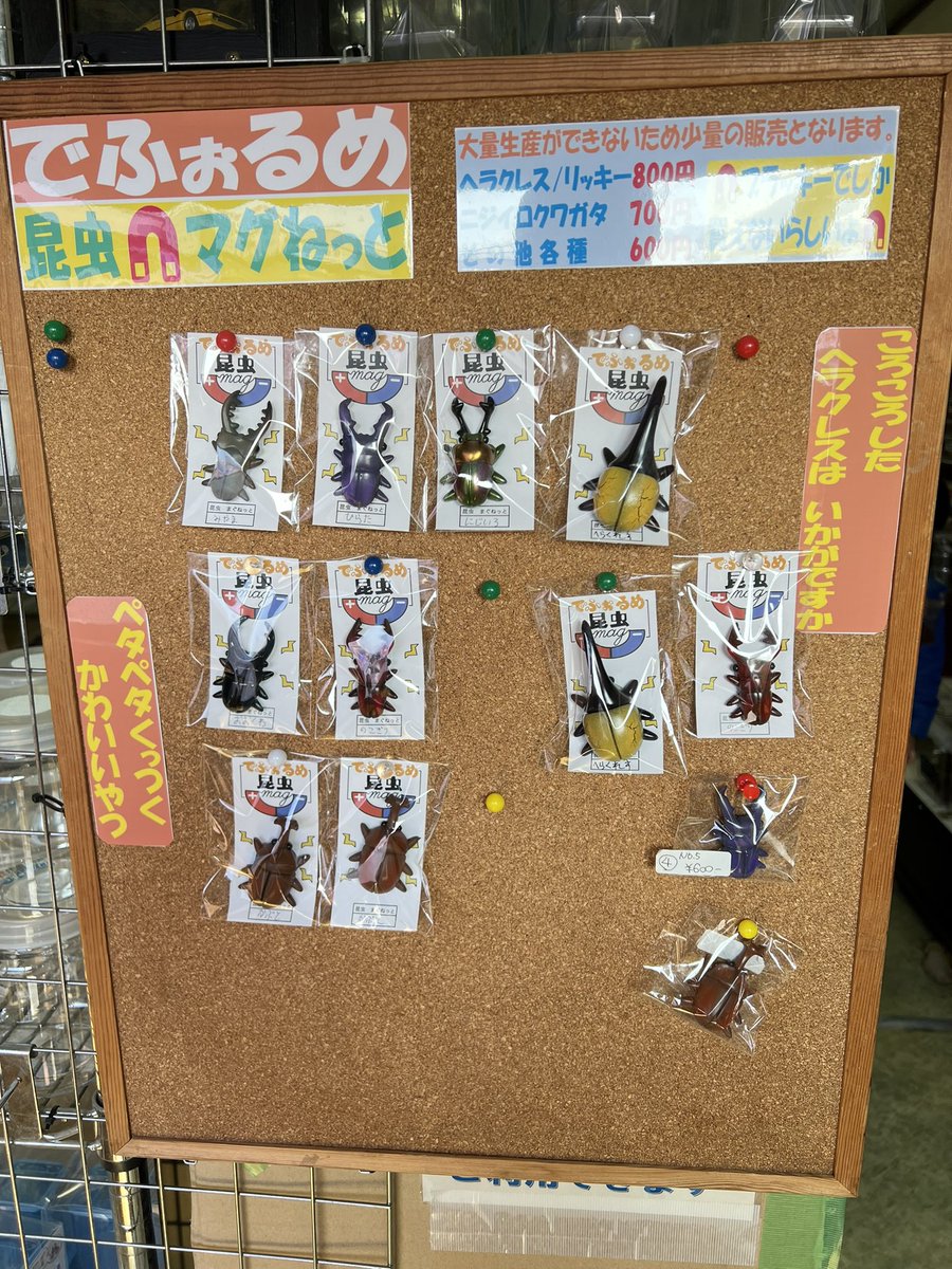 ブラッキー　クワカブ専門店 tweet media