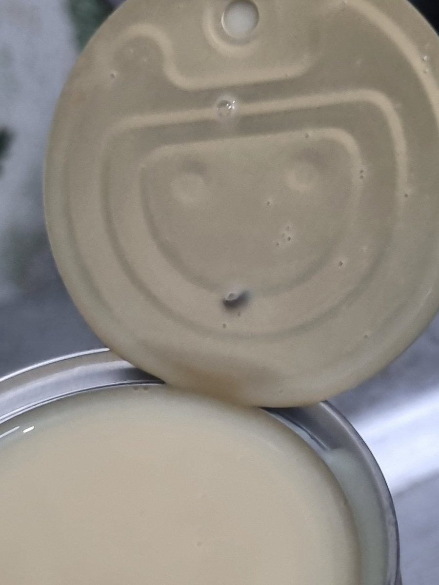 Syed Ali Hussaini tweet media