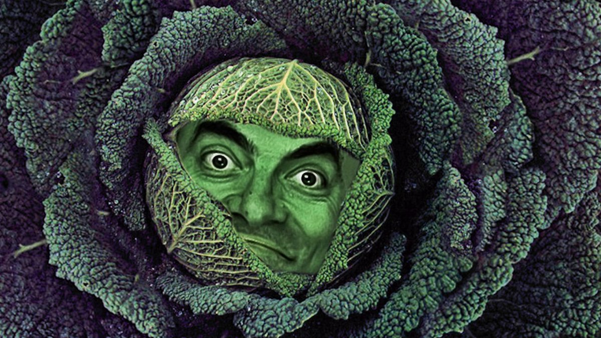 Drakre52's tweet image. Mr.Bean Morphing
facebook.com/Drakre52/video…

13years Music Karpa and Drakre52 Film
#mrbean#mrbeanteddy #mrbeans #mrbeanfans #mrbeansholiday