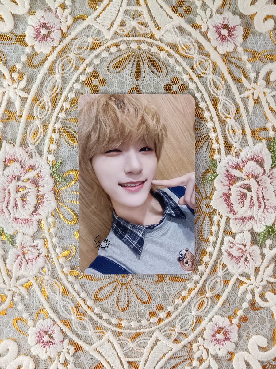 Shua ₍ᐢ•⬤•𐙚ᐢ₎ tweet media