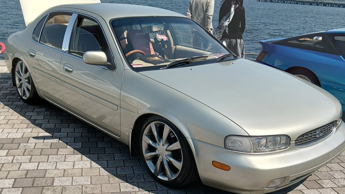 クルキチ。 tweet media