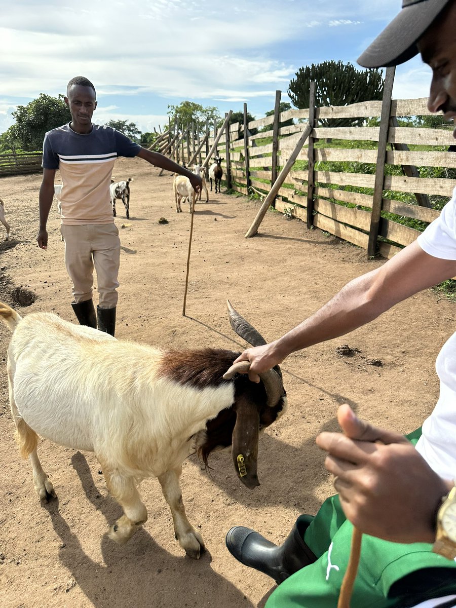 Youth Platform Africa tweet media