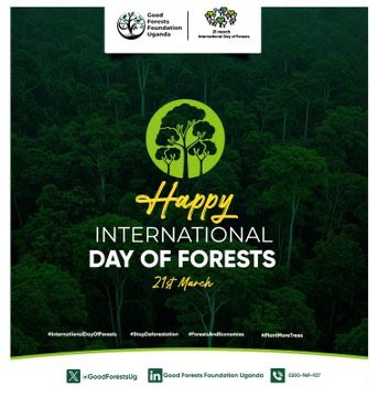 Usanande's tweet photo. Happy international day of forest 🌲🌳🌲 https://t.co/kfWPqj8aG7